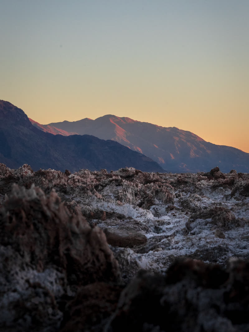 Standing out on the salt flats, the range behind